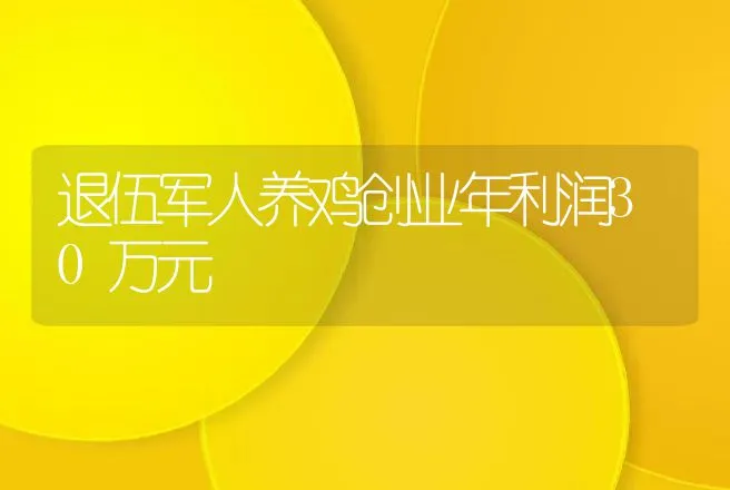 退伍军人养鸡创业年利润30万元 | 养殖致富