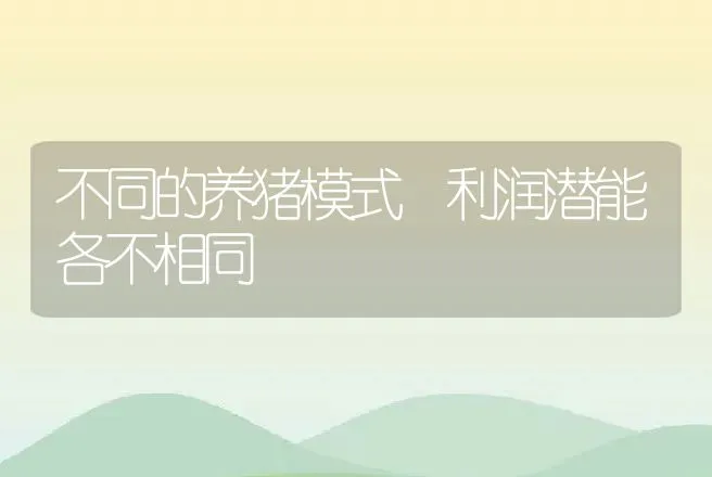 不同的养猪模式 利润潜能各不相同 | 动物养殖