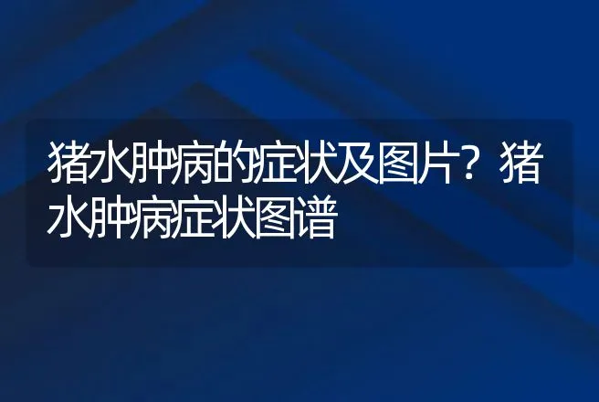 猪水肿病的症状及图片？猪水肿病症状图谱 | 兽医知识大全