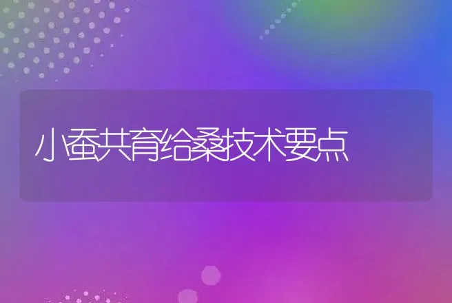 小蚕共育给桑技术要点 | 动物养殖