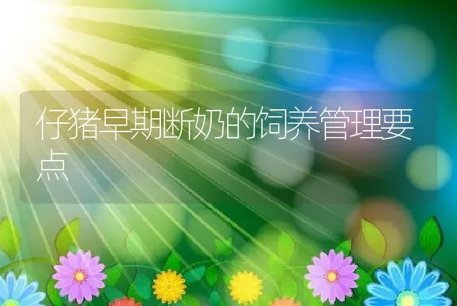 鸡传染性喉气管炎的防制与研究 | 动物养殖