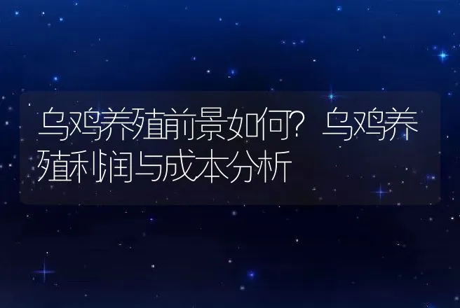 乌鸡养殖前景如何？乌鸡养殖利润与成本分析 | 养殖致富