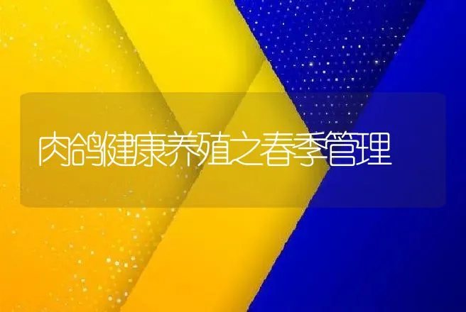 肉鸽健康养殖之春季管理 | 家禽养殖