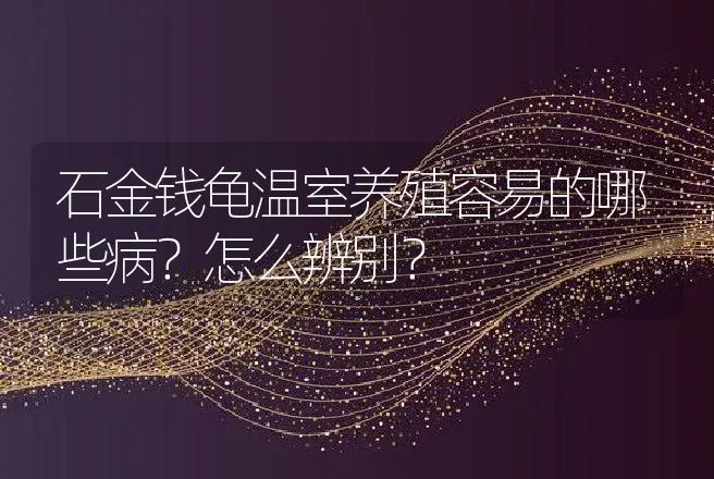 石金钱龟温室养殖容易的哪些病？怎么辨别？ | 兽医知识大全