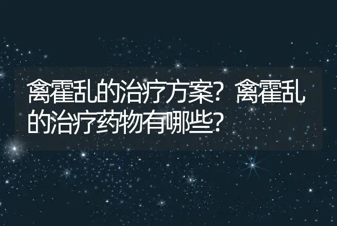 禽霍乱的治疗方案？禽霍乱的治疗药物有哪些？ | 兽医知识大全