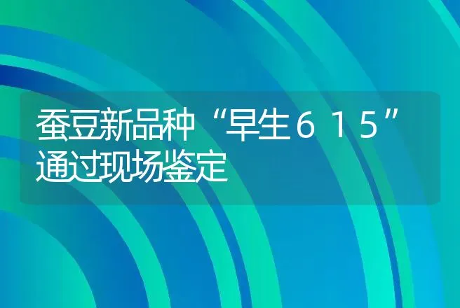 蚕豆新品种“早生６１５”通过现场鉴定 | 动物养殖