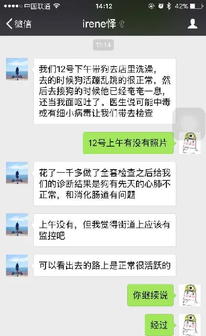 柯基送去洗澡竟然脑外伤？上海宝乐宠物诊所请你自证清白！ | 宠物新闻资讯