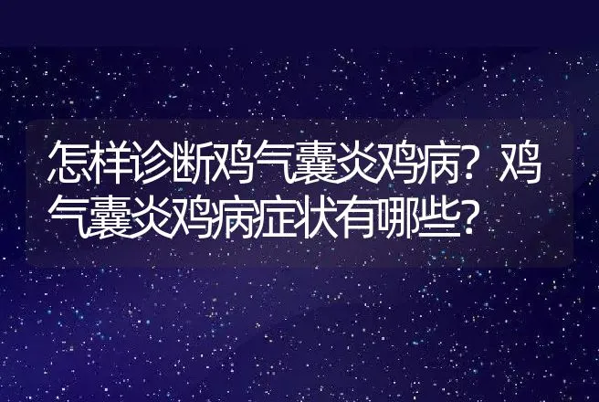 怎样诊断鸡气囊炎鸡病？鸡气囊炎鸡病症状有哪些？ | 兽医知识大全