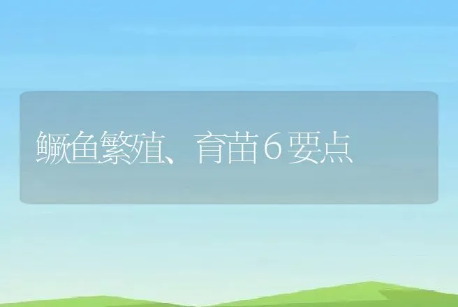 鳜鱼繁殖、育苗６要点 | 动物养殖