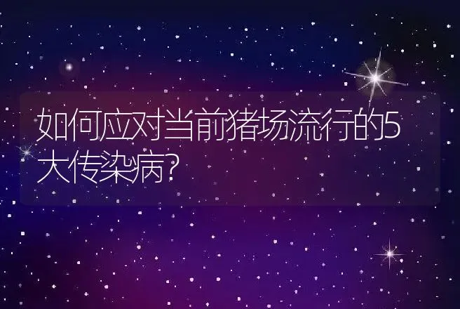 如何应对当前猪场流行的5大传染病？ | 家畜养殖