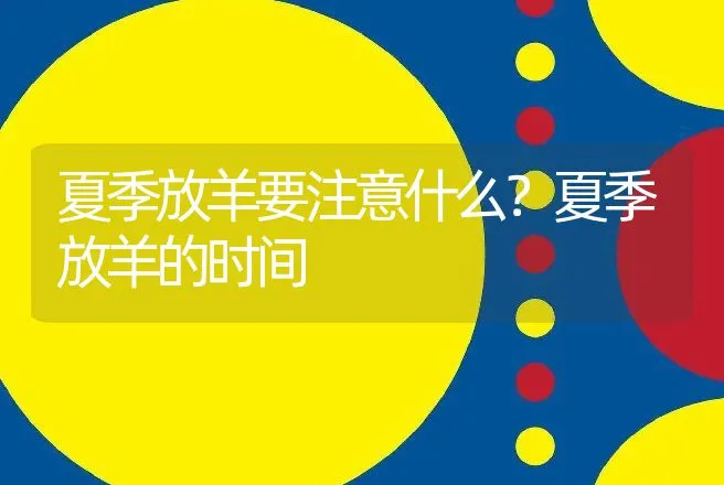 夏季放羊要注意什么？夏季放羊的时间 | 家畜养殖