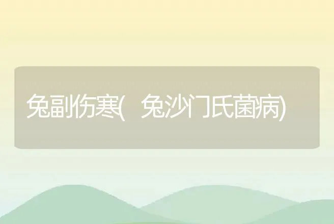 兔副伤寒(兔沙门氏菌病) | 兽医知识大全