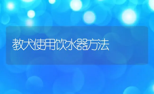 教犬使用饮水器方法 | 宠物病虫害