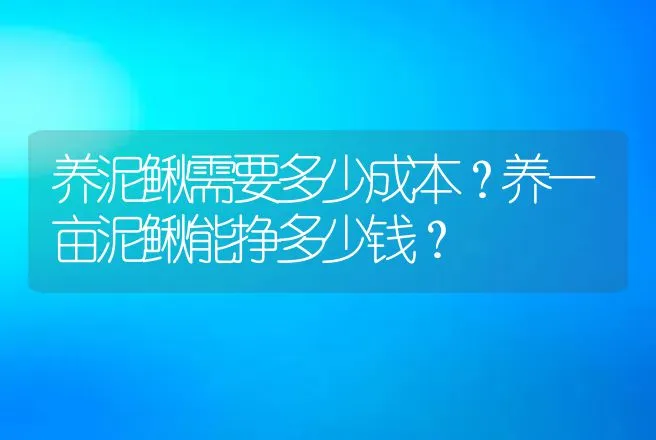 养泥鳅需要多少成本？养一亩泥鳅能挣多少钱？ | 家禽养殖