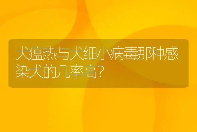 犬瘟热与犬细小病毒那种感染犬的几率高？ | 兽医知识大全