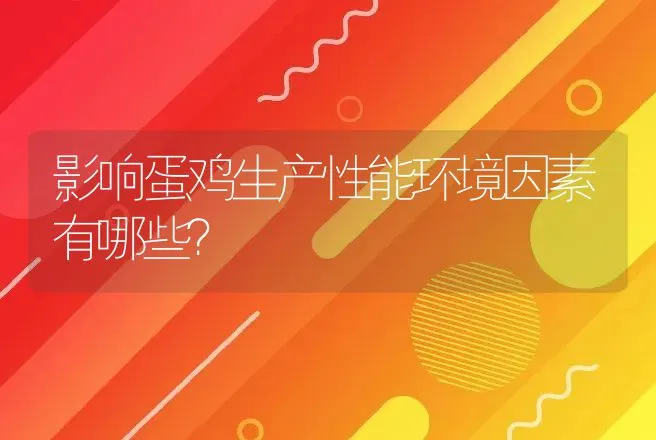 影响蛋鸡生产性能环境因素有哪些？ | 特种养殖