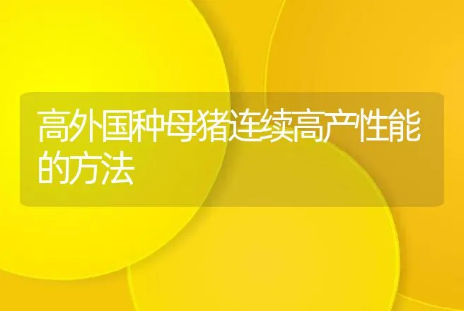 高外国种母猪连续高产性能的方法 | 动物养殖