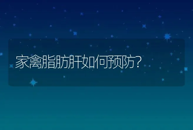 家禽脂肪肝如何预防？ | 兽医知识大全