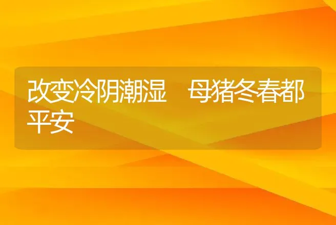 改变冷阴潮湿 母猪冬春都平安 | 动物养殖