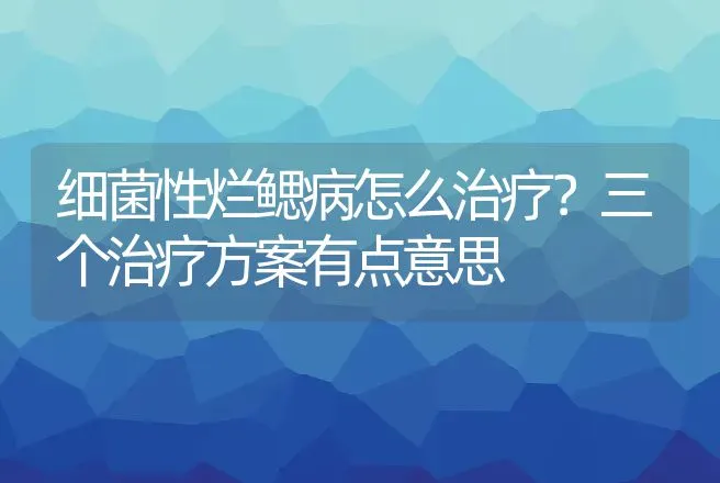 细菌性烂鳃病怎么治疗？三个治疗方案有点意思 | 兽医知识大全