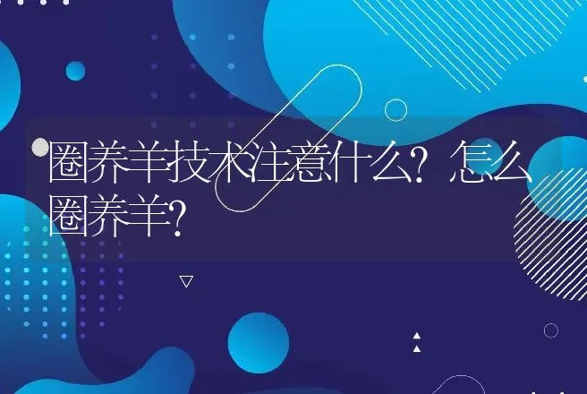 圈养羊技术注意什么?怎么圈养羊? | 家畜养殖