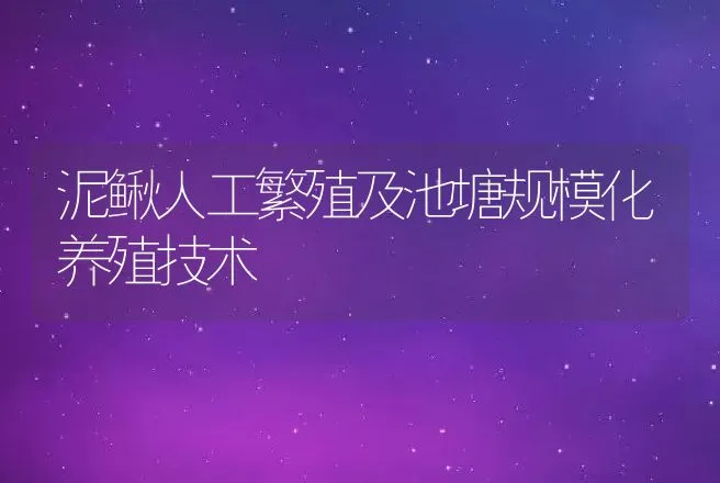 泥鳅人工繁殖及池塘规模化养殖技术 | 动物养殖