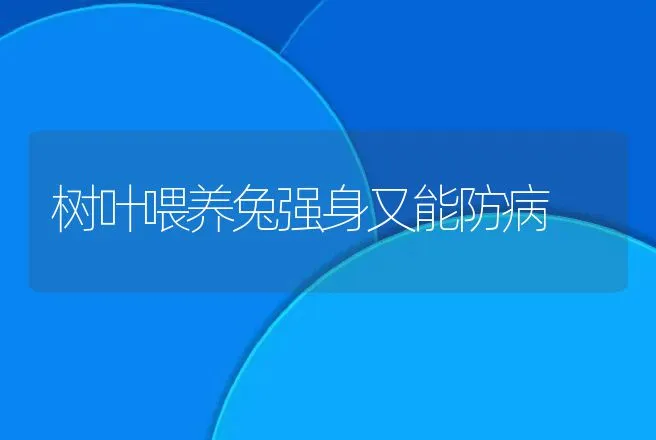 树叶喂养兔强身又能防病 | 动物养殖