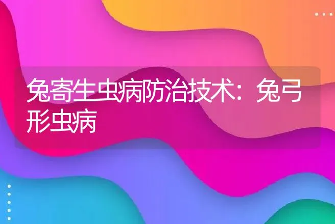 兔寄生虫病防治技术：兔弓形虫病 | 动物养殖