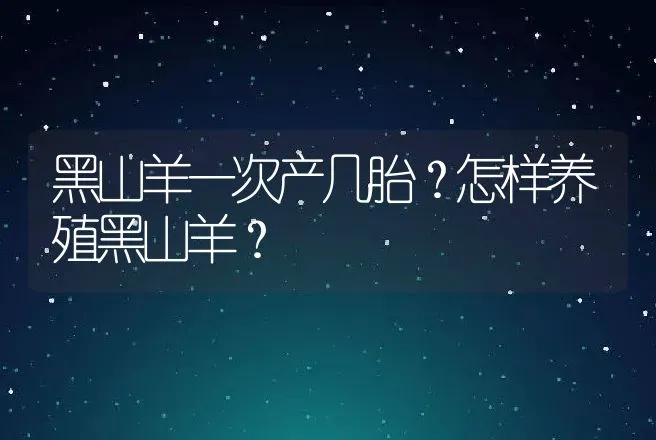 黑山羊一次产几胎？怎样养殖黑山羊？ | 家畜养殖