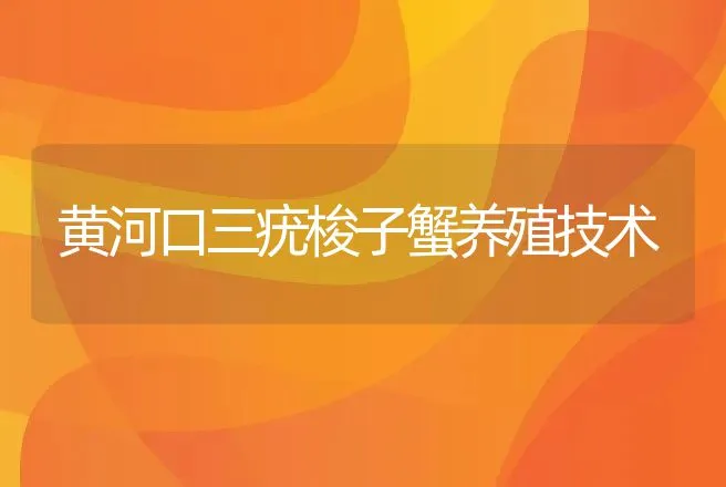 黄河口三疣梭子蟹养殖技术 | 动物养殖