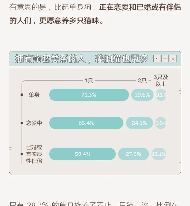 中国人养猫行为调查报告：来看看关于养猫的那些秘闻趣事 | 宠物新闻资讯