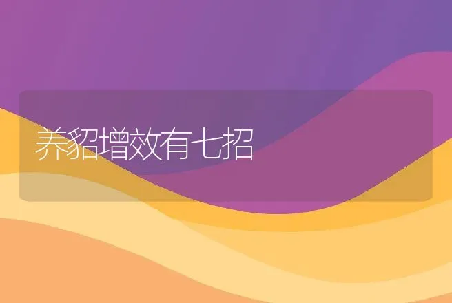 养貂增效有七招 | 特种养殖