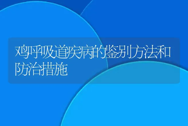 鸡呼吸道疾病的鉴别方法和防治措施 | 动物养殖