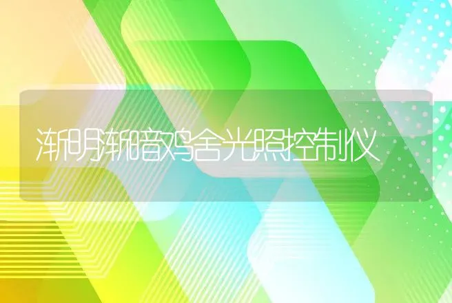 渐明渐暗鸡舍光照控制仪 | 动物养殖