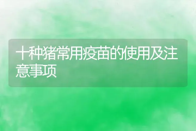 十种猪常用疫苗的使用及注意事项 | 动物养殖