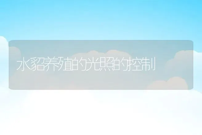 水貂养殖的光照的控制 | 特种养殖