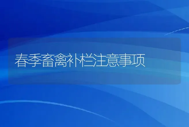 春季畜禽补栏注意事项 | 家畜养殖