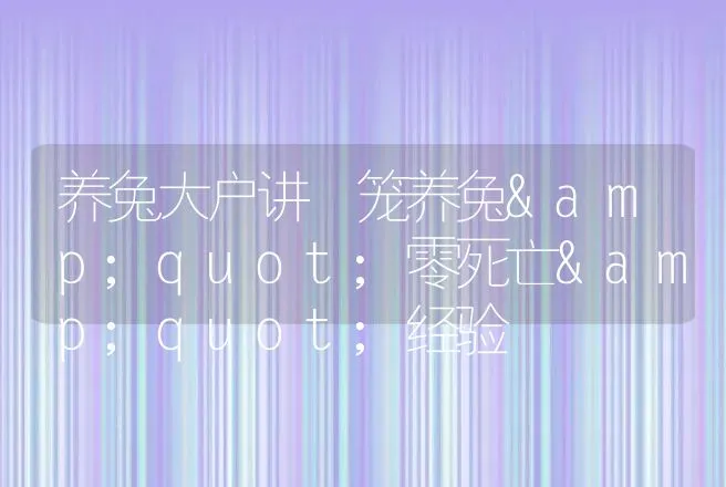 养兔大户讲 笼养兔"零死亡"经验 | 动物养殖