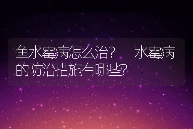 鱼水霉病怎么治？ 水霉病的防治措施有哪些? | 兽医知识大全