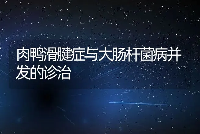 肉鸭滑腱症与大肠杆菌病并发的诊治 | 动物养殖