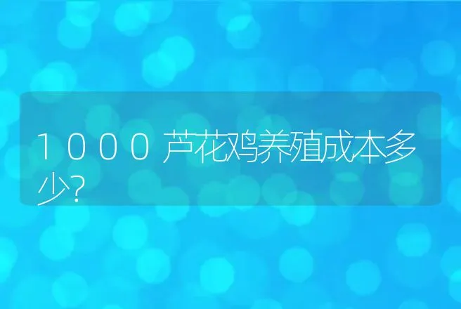 1000芦花鸡养殖成本多少？ | 家禽养殖