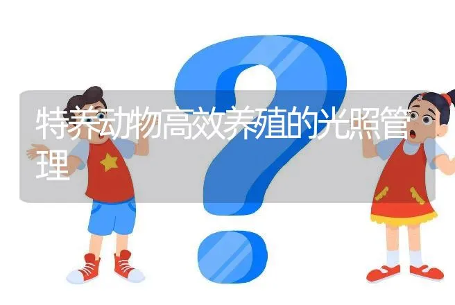 特养动物高效养殖的光照管理 | 动物养殖