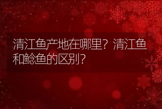 清江鱼产地在哪里？清江鱼和鲶鱼的区别？ | 动物养殖