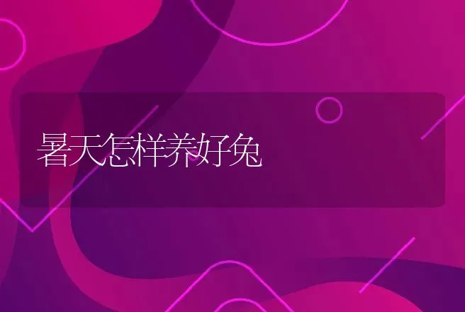 暑天怎样养好兔 | 动物养殖