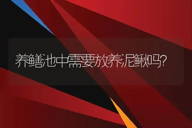 养鳝池中需要放养泥鳅吗？ | 动物养殖