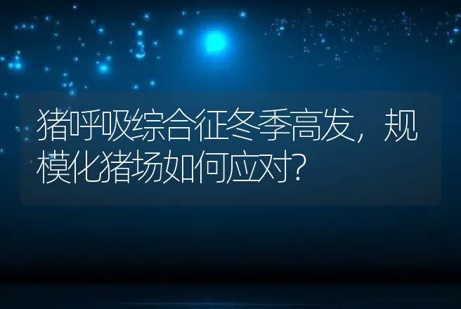 猪呼吸综合征冬季高发，规模化猪场如何应对？ | 兽医知识大全