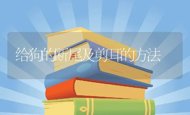 给狗的断尾及剪耳的方法 | 宠物病虫害