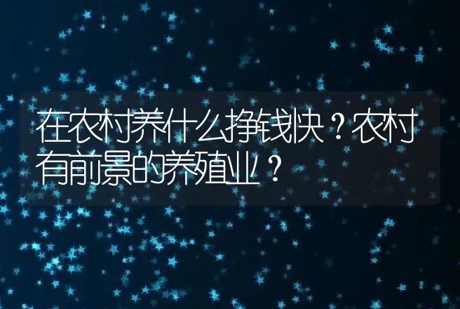 在农村养什么挣钱快？农村有前景的养殖业？ | 养殖致富