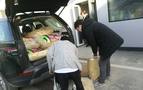 齐鲁爱宠：喂养流浪猫大型公益活动圆满落幕 | 宠物新闻资讯