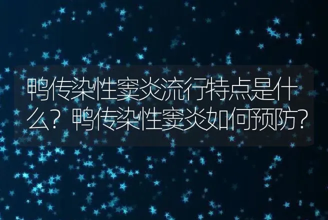 鸭传染性窦炎流行特点是什么？鸭传染性窦炎如何预防？ | 兽医知识大全